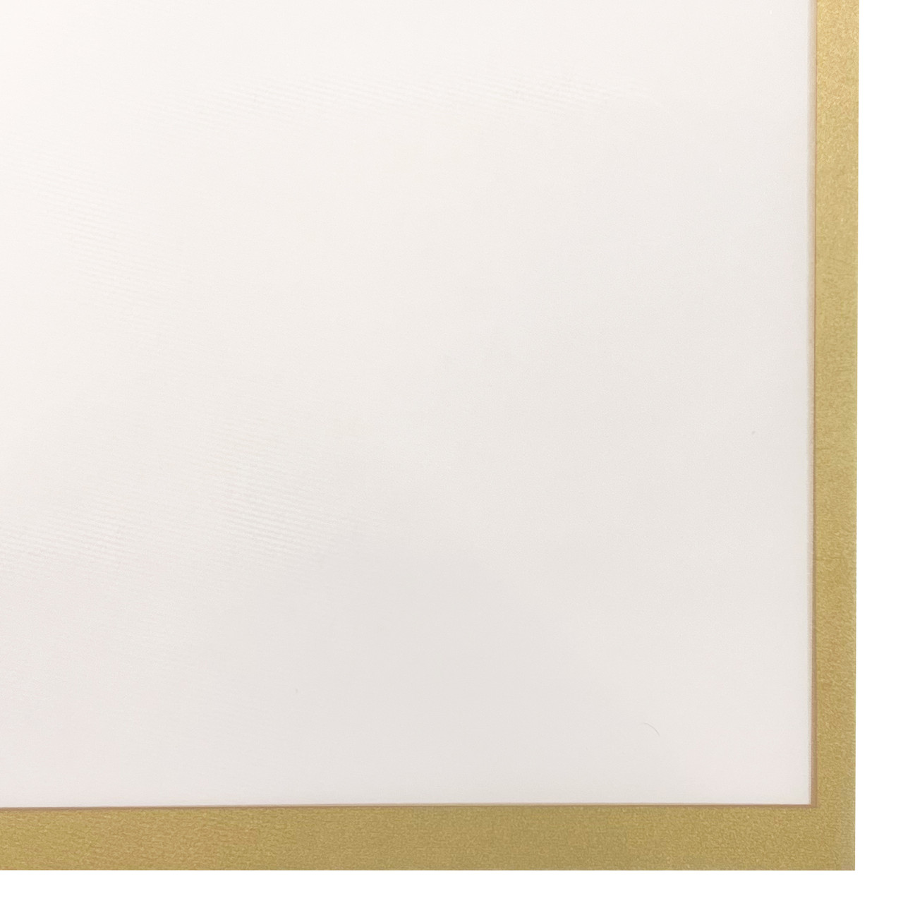 Gold Edge White Floral Wrapping Paper - 20 Sheets